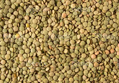 عدس سبز ریز